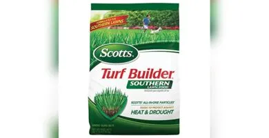 Best Lawn Mower for St Augustine Grass