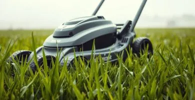 can you cut wet grass with an electric mower