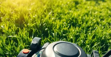 does homeowners insurance cover lawn mower accidents