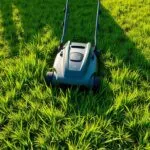 can you cut wet grass with an electric lawn mower