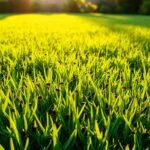 does mowing the lawn kill ticks