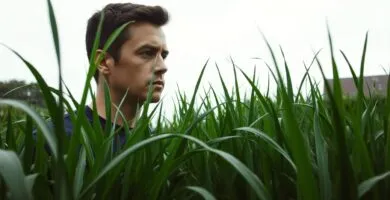 is it ok to mow wet grass